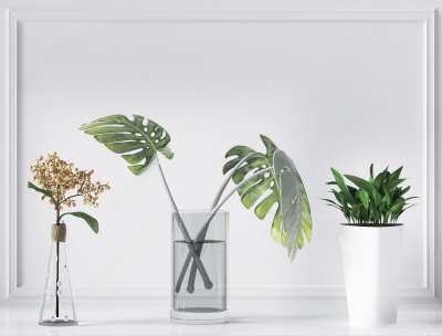 现代水生植物3D模型下载